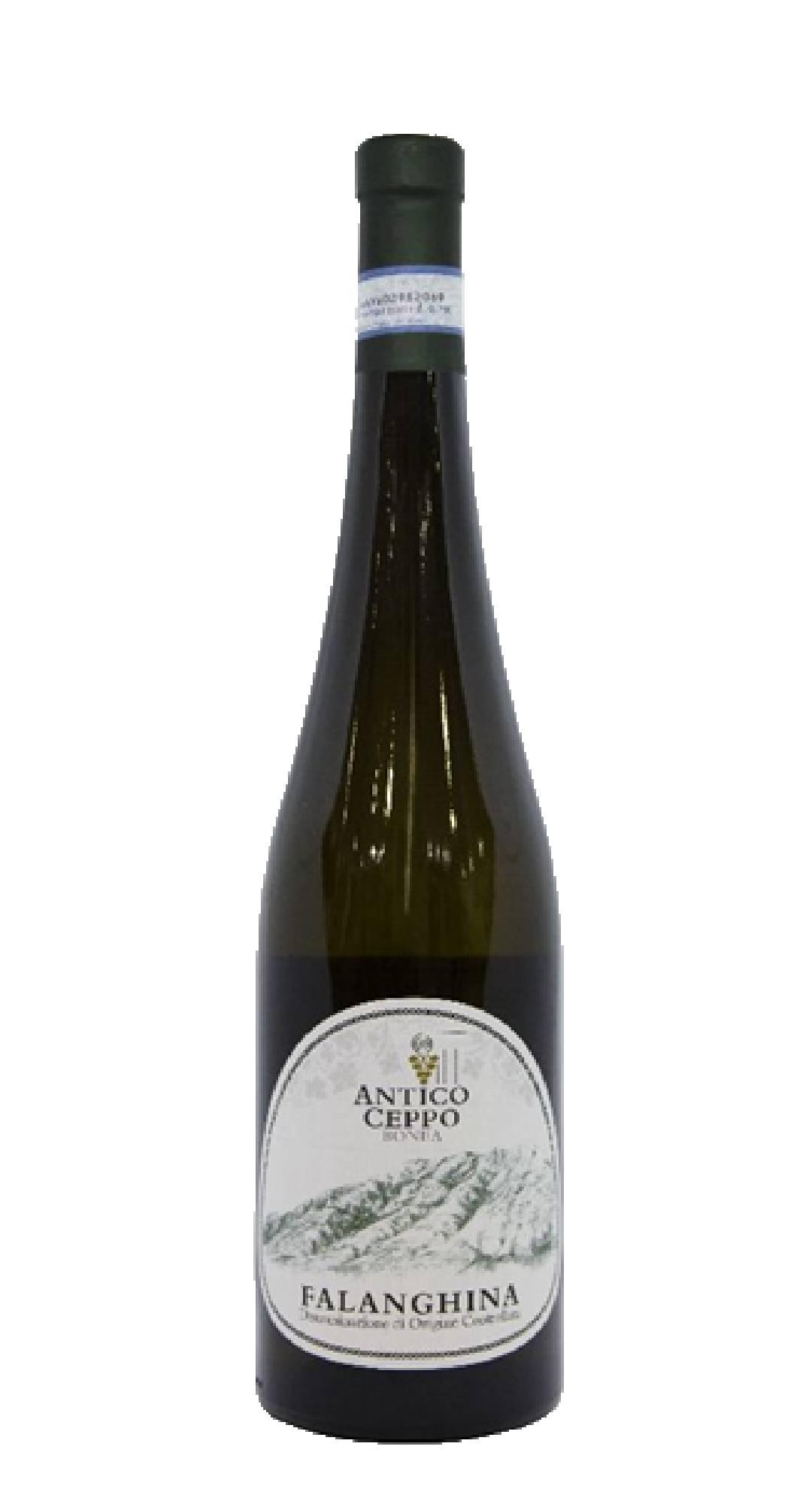 Falanghina